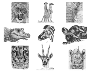 Animals-of-Africa